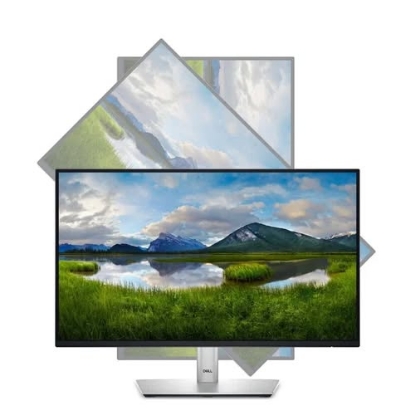 Picture of USED: Dell Professional P2422H 24 inches Monitor